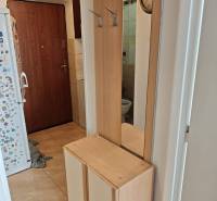Eingangshalle in einer Zweizimmerwohnung mit einem Holzkleiderschrank und einem Spiegel.