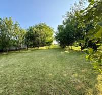 Garten mit Rasen und Bäumen im Einfamilienhaus in Koválov.