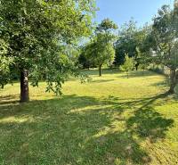 Der Garten des Einfamilienhauses in Koválov: gepflegter Rasen, Bäume und Grün, ruhige Atmosphäre.