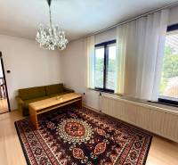 Wohnzimmer in einem Einfamilienhaus mit grünem Sofa, Teppich und Kronleuchter.