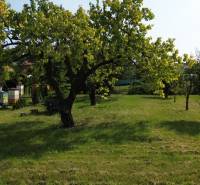 Garten in Dolný Bar mit Bienenstöcken und Bäumen, geeignet zum Wohnen.