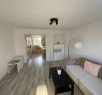 Wohnzimmer in einer Zweizimmerwohnung mit Sofa, Tisch und Zugang zur Küche.