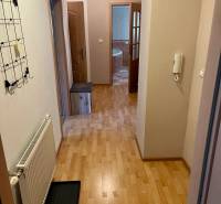 Flur in einer 2-Zimmer-Wohnung mit Holzboden, Garderobe, Eingang zum Badezimmer.