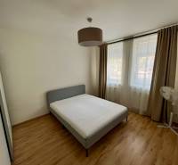 Helles Schlafzimmer mit Bett und Fenstern, 2-Zimmer-Wohnung mit Holzboden und Vorhängen.
