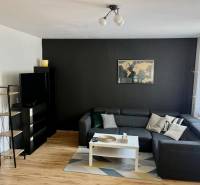 Wohnzimmer in einer 2-Zimmer-Wohnung mit Sofa, Tisch und Fernseher an der dunklen Wand.