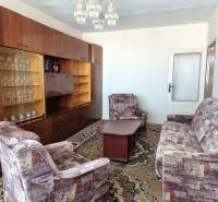 Wohnzimmer mit Retro-Möbeln und Teppich in einer 2-Zimmer-Wohnung.