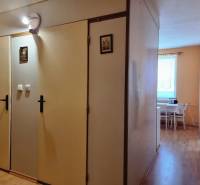 Der Flur in der 2-Zimmer-Wohnung mit Einbauschränken und Blick in die Küche.