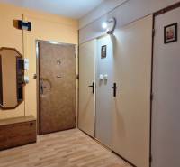 Flur in einer 2-Zimmer-Wohnung mit Holzmöbeln, Spiegel und Sicherheitstür.