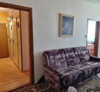 Wohnzimmer mit Sofa und Bild in einer Zweizimmerwohnung.