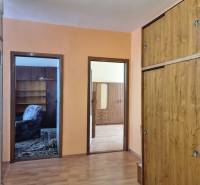 In der 2-Zimmer-Wohnung befindet sich ein Flur mit Einbauschränken und Zugang zu den Zimmern.