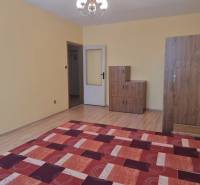 Ein Zimmer in einer 2-Zimmer-Wohnung mit Holzboden, einem Schrank und einem roten Teppich.