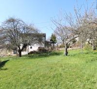 Ein Garten mit Obstbäumen bei einem Einfamilienhaus in der Jalovcová-Straße in Bratislava auf dem Koliba.