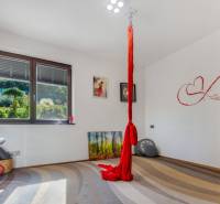 Ein Zimmer im Einfamilienhaus mit Blick in den Garten und einer Decken-Schaukel zum Üben.