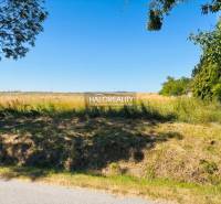 Grünfläche umgeben von Bäumen in der Stadt Horná Krupá, Grundstücke - Wohnen.