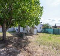 Garten mit Rasen und Baum in Gajary an der Športová, Grundstücke - Wohnen.
