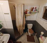 Badezimmer in der Hütte mit WC, Duschkabine und weißen Fliesen.