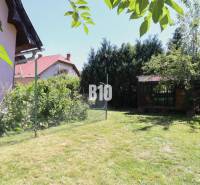 Der Garten beim Einfamilienhaus in Podhradí, mit Rasen, Sträuchern und Bäumen, der Zaun ist sichtbar.