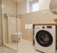 Badezimmer in einem Einfamilienhaus mit Waschmaschine, Duschkabine und dekorativem Waschbecken.
