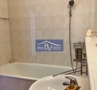 Badezimmer mit Badewanne, Waschbecken und Dusche in einer Einzimmerwohnung.