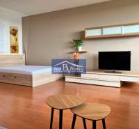 Einzimmerwohnung mit Bett, Fernseher, Möbeln und Wanddekoration.