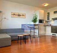 Helles Wohnzimmer mit Küchenzeile, Sofa und Holzboden in einer Einzimmerwohnung.