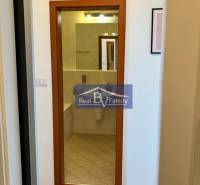 Ein Flur mit Holzboden führt in das Badezimmer einer Einzimmerwohnung.