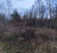 Landschaftliche Szenerie auf den Erholungsgrundstücken in der Eva-Straße in Holčíkovce.