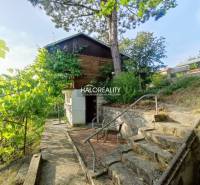 Gärten in Zvolen mit Treppen, Bäumen und einem Holzhaus, die eine angenehme Atmosphäre schaffen.