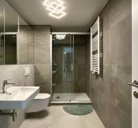 Badezimmer mit Dusche, Waschbecken und Spiegel in einer 2-Zimmer-Wohnung.