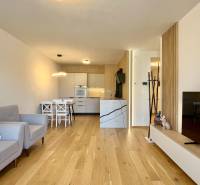 Wohnzimmer in einer 2-Zimmer-Wohnung mit Holzboden, Sofa und Fernseher.
