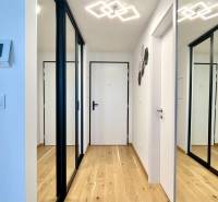Der Flur mit Holzboden und einem Spiegelschrank in einer 2-Zimmer-Wohnung.