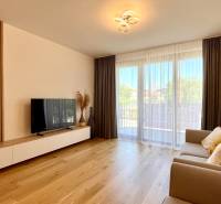 Wohnzimmer in einer Zweizimmerwohnung mit Sofa, Fernseher und Holzboden.