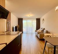 Wohnzimmer in einer Zweizimmerwohnung mit Küchenzeile, Holzboden und großem Fenster.