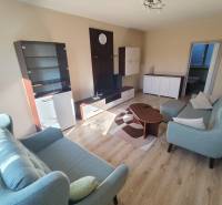 Wohnzimmer in einer 3-Zimmer-Wohnung mit Sofa, Couchtisch und Vitrine.