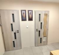 Innenraum einer 3-Zimmer-Wohnung mit modernen Türen und Kunstgemälden an der Wand.
