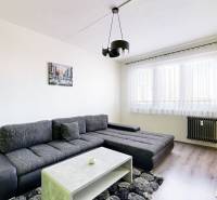 Wohnzimmer in einer 3-Zimmer-Wohnung mit einem bequemen Sofa und einem minimalistischen Tisch.