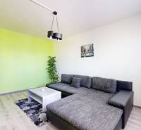 Wohnzimmer mit Sofa und Tisch in einer 3-Zimmer-Wohnung, grüne Wand, Pflanze.
