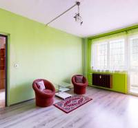 Wohnzimmer mit zwei Sesseln, einem Tisch und einer grünen Wand in einer 3-Zimmer-Wohnung.
