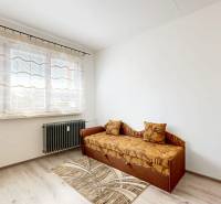 Ein Zimmer in einer 3-Zimmer-Wohnung, weiße Wand, Sofa, Teppich, großes Fenster und Heizkörper.