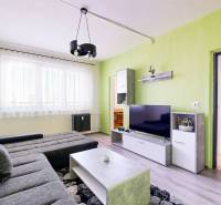 Wohnzimmer in einer 3-Zimmer-Wohnung mit Sofa, Fernseher und grüner Wand.