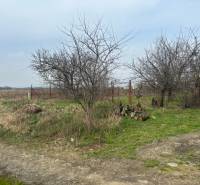 Landwirtschaftliche und forstwirtschaftliche Flächen in der Straße Domky in Zálesí mit sichtbaren Bäumen und einem Weg.