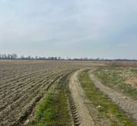 Landwirtschaftliche und forstwirtschaftliche Grundstücke in Zálesí an der Straße Domky mit einem Feldweg.