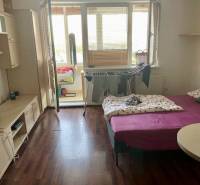 Einzimmerwohnung mit Bett, Einbauschrank und Balkon, heller Holzboden.