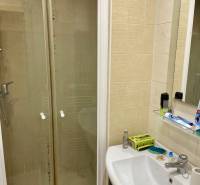 Badezimmer in einem Studio-Apartment mit Waschbecken und Duschkabine, ergänzt durch einen Spiegel.