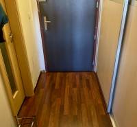 Eingangsbereich in einem Studio-Apartment mit hellbraunen Böden und dunklen Türen.