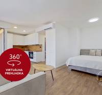 Einzimmerwohnung mit Bett, Sofa und Küche, heller Innenraum mit Holzboden.