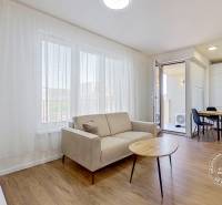 Wohnzimmer einer Einzimmerwohnung mit Sofa, Tisch und Küchenzeile.