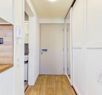 Eingangsflur in einer Einzimmerwohnung mit Holzboden und Einbauschrank.