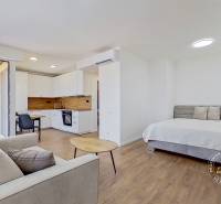 Helle 1-Zimmer-Wohnung mit Küche, Sofa, Tisch und Doppelbett.