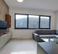 Wohnzimmer mit grauem Sofa und Fernseher in einer Zweizimmerwohnung.